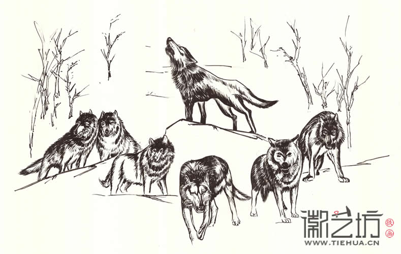 2016.12.23安徽三聯(lián)集團狼鐵畫案例回顧8