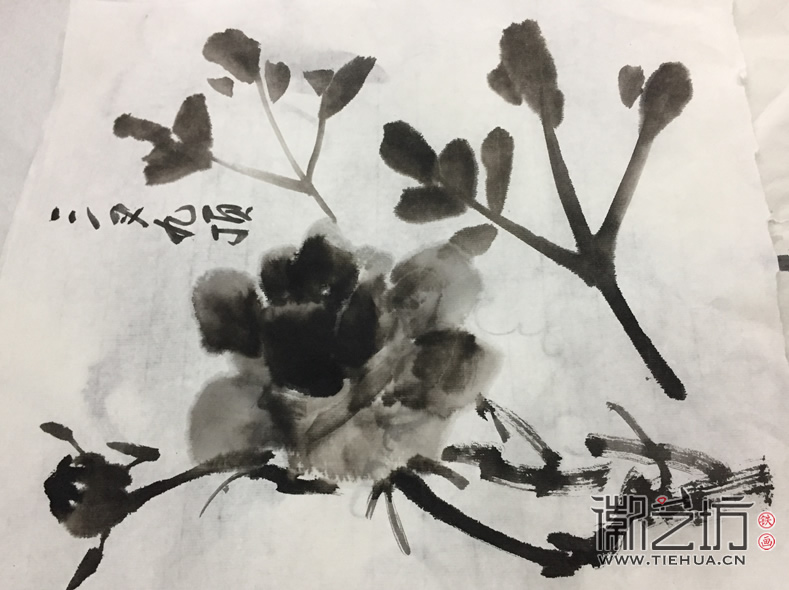 2017.3.18鐵畫知行社第二期課程報(bào)道13