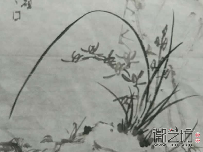 2017.3.18鐵畫知行社第二期課程報(bào)道15