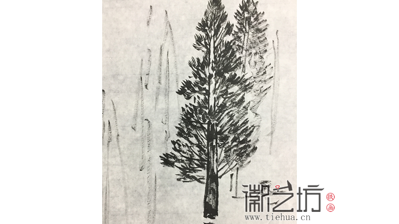 采風(fēng)歸來畫水杉