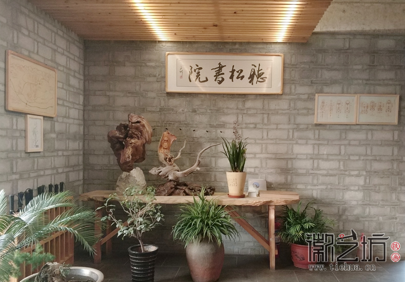 太行山下聽松書院尋崖柏 (1)