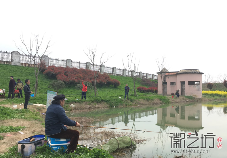 蕪湖鐵畫(huà)知行社南陵農(nóng)家采風(fēng) (10)