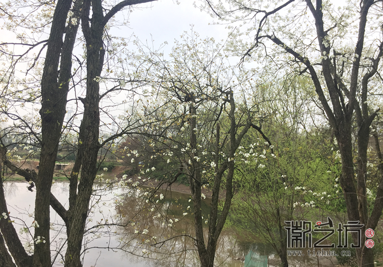 蕪湖鐵畫(huà)知行社南陵農(nóng)家采風(fēng) (15)