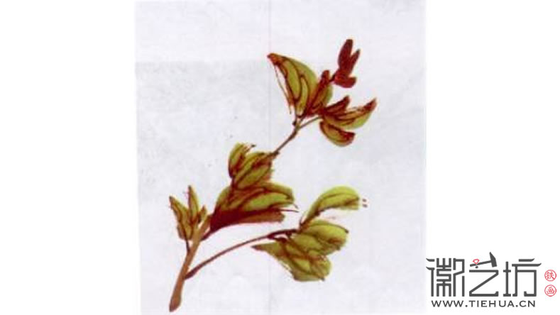 2017.3.30春雨綿綿話牡丹11