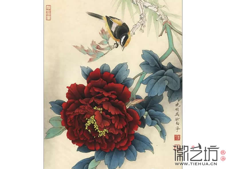 2017.3.30春雨綿綿話牡丹18