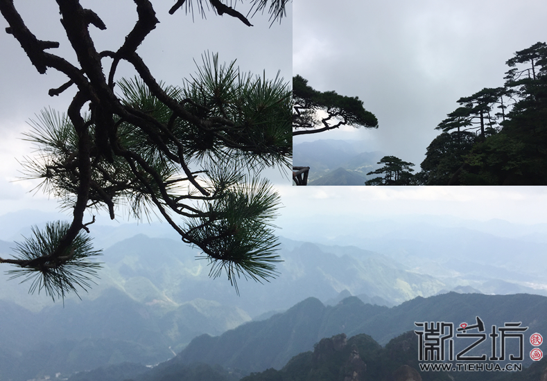 三清山松枝與遠(yuǎn)山