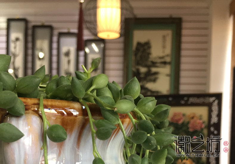 我們?yōu)槭炙嚾说蔫F畫代言 (5)