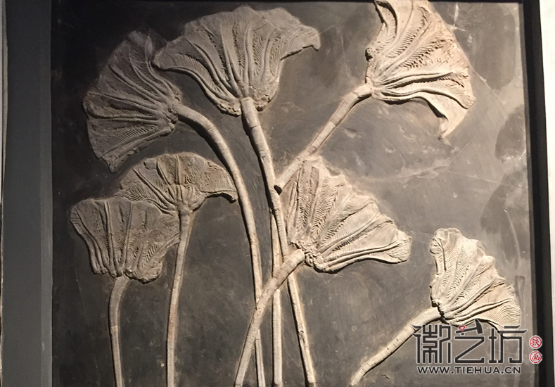 0南京博物院 (19)